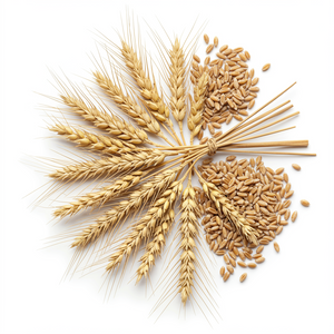 Gelée moussante nettoyante au huile de germe Blé & orge